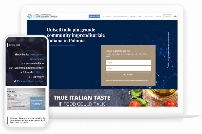Camera di commercio e dell'industria italiana in Polonia Web Design